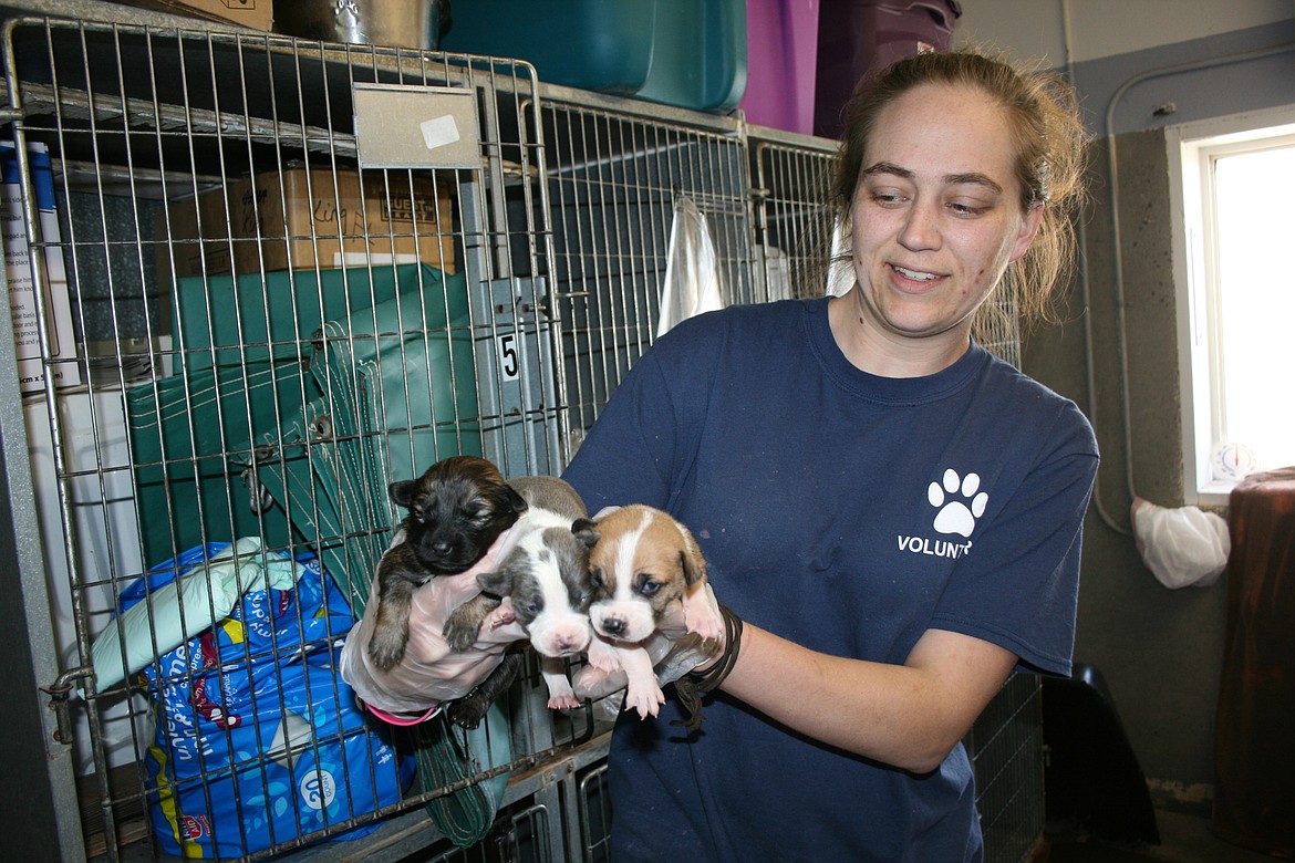 Grant County Animal Outreach still busy Columbia Basin Herald